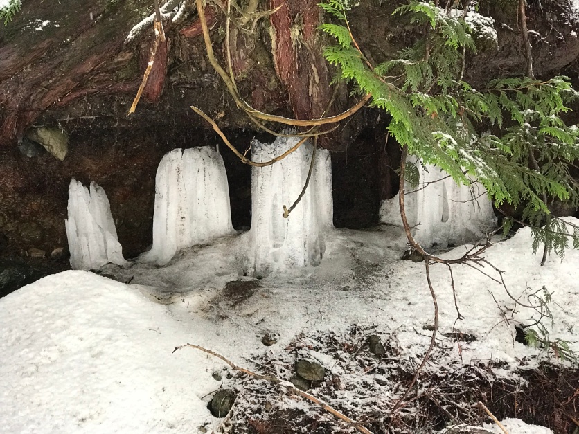 Icy stalactites