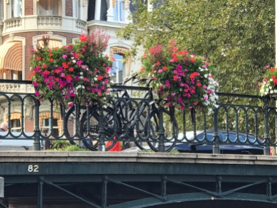 Cycles and flowers everywhere!